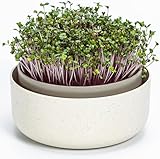 Urbalive große Keimschale 16cm - Kresse Anzuchtschale für Sprossen, Kressesamen, Microgreens - Design Kressesieb aus hochwertigem Kunststoff - Keimsprossenbox Keimgerät mit Kaffeesatz-Beimischung