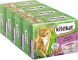 Kitekat Katzenfutter Nassfutter Markt Mix in Gelee, 48 Portionsbeutel (4 x 12 x 85g)