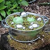Storm's Gartenzaubereien Miniteich Komplett Set 2 Schwimmfrösche groß - klein 2 Teelichtschalen 6 Schimmkugeln und Zinkwanne