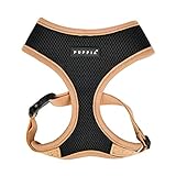 Puppia Soft Harness II - Weiches Hundegeschirr für kleine und mittelgroße Hunde - sehr komfortabel und verstellbar, Schwarz, S