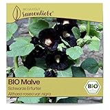 Samenliebe BIO Malve Samen Schwarze Erfurter 80 Samen samenfestes Blumen Saatgut für Garten Freiland und Balkon BIO Blumensamen