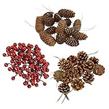 BB Sport Weihnachtsdeko Natur Tischdeko Advent Dekoration Beeren und Tannenzapfen Weihnachtsdekoration Selber Machen Basteln Adventskranz