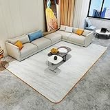 Elektrisch beheizte Bodenmatte, Infrarot-Fußbodenheizung, elektrisches Heizkissen, Fußwärmer, einstellbare Temperatur, wasserdicht, elektrisch beheizte Teppiche(B,100x200cm)