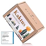 Kaktus, growbro Anzuchtset inkl. Sprühflasche, Geburtstagsgeschenk, Sukkulenten, Geschenke für Frauen & Männer, Gastgeschenk, Zimmerpflanzen, Garten Geschenk, Cactus