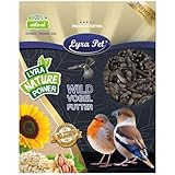 Lyra Pet® | 25 kg Sonnenblumenkerne Schwarz | Wildvogelfutter Ganzjährig | Ideal für Kleine Vögel | Vogelfutter für Gartenvögel | Mit Höchstem Ölgehalt | Spendet Energie im Sommer und Winter