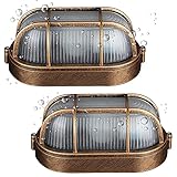 2 Stück Hublot Ovale Wandleuchte/Deckenlampe Wasserdicht Kellerlampe Maritim Bulkhead schiffslampe, Antike E27 Außen/Innen Wandlampe Ovalleuchte, Aluminiumgitter/Glasabdeckung Bronze Feuchtraumlampe