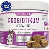 PETSUPLUS Probiotika Hund, 120 Kautabletten, Dogs Hunde Nahrungsergänzungsmittel mit Flohsamenschalen, Repariert die Darmflora & schützt das Immunsystem, Kur Gegen Durchfall Erbrechen und Sodbrennen