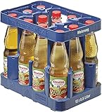 Förstina Apfelschorle MEHRWEG (12 x 0,5 l)