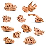 cobee Mini Dinosaurier Kopf Skelett Spielzeug, 11 STÜCKE Prähistorischer Tierschädel für Sandkasten Dino Kopf Modell Dinosaurier Knochen Spielsets Dinosaurier Figuren Puppenhaus Dekoration für Kinder