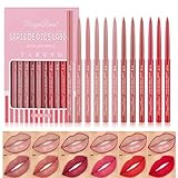 DENESTUP 12 Stück Lipliner combo,Lip Plumper und Lang Anhaltende Wasserdicht, Antihaftbeschichtung,Glatte Textur Matte Lip Gloss Geschenk-Set