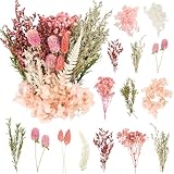 LAUMOE Getrocknete Blumen,Trockenblumen Zum Basteln Mini...