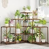 Bamworld Pflanzenständer Indoor Outdoor Ecke Pflanzenregal 5 Etagen 11 Topfblumenregale Holz Pflanzenständer Garten Holz Pflanzenhalter Rack für Wohnzimmer Eckrasenfenster