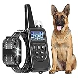 Hundehalsbänder sind vielseitig einsetzbar,Hundehalsband,Qualität des Materials Richtung Kauf, Einfach und zweckmäßig,Geeignet für kleine, mittlere und große Hunde (13w)