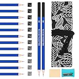 LAISHUNHE 12er Set Skizzier Skizzen Zeichen Bleistift Set Zeichenstifte Skizzierstifte Skizzenstifte Künstlerstift Graphitstifte Künstler Bleistift Graphit Bleistift 10B 8B 6B 5B 2x4B 3B 2x2B HB 2H 3H