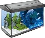 Tetra AquaArt LED Aquarium-Komplett-Set 60 Liter - inklusive LED-Beleuchtung, Tag- und Nachtlichtschaltung, EasyCrystal Innenfilter und Aquarienheizer, Farbe: Anthrazit