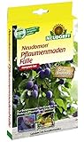 Neudorff Neudomon Pflaumenmaden Falle 1 Set