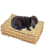 PINVNBY Natürliches Gras gewebte Matte für Kleintiere, Nest, Meerschweinchen, Kauspielzeug für Papageien, Kaninchen, Hamster, Ratten, 6 Stück