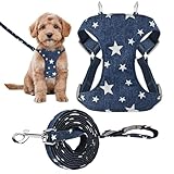 Geschirr in Westenform für Hunde | verstellbar mit Schnellverschluss | Geschirr für Spaziergänge für Welpen und kleine bis mittelgroße Hunde Ausbildung Ausgang Jard