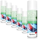 6 x 400ml Oputec Kältespray Eisspray Sport: Erste-Hilfe-Spray bei Sportverletzungen, Schmerzen und Schwellungen (Minze) - Medizinisches Kühlspray für jedes Erste-Hilfe-Set