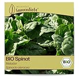 Samenliebe BIO Spinat Samen alte Sorte Matador aromatischer Blattspinat großblättriger Frühjahr und Winterspinat grün 5,1g samenfestes Gemüse Saatgut für Gewächshaus Freiland und Balkon winterhart