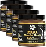 BEE NATURAL Manuka Honig MGO® 600+ 1000g (= 4 x 250g) / ECHTGLAS GLAS/Manuka-Honig MGO 263 ≥ UMF 10, 300 ≥ 11, 400 420 ≥ 12, 514 ≥ 15, 550 ≥ 16, 600 ≥ 17, 696 700 720 ≥ 18, 800 ≥ 19, 829 850 ≥ 20