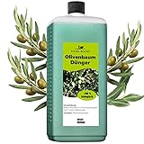 Olivenbaum Dünger - Olivenbaumdünger - Langzeitdünger für mehr Oliven und bessere Aufnahme von Nährstoffen - Reicht für bis zu 100 Liter Gießwasser (500 ml)