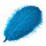 Mwoot 10 Stück Natürliche Straußenfedern, Strauß Feder Plume für Hochzeit Party Fest Tisch Herzstück Dekoration (Schwarz, 25-30 cm) (Blau)