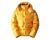 THE NORTH FACE Rmst Sierra Jacke Summit Gold XS