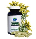 Echte GOLDRUTE Solidago Goldrutenkraut 180 Kapseln NIEREN -...