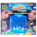 Aqua Dragons |Unterwasserwelt Deluxe mit LED | Pädagogisches STEM-Spielzeug, Aquarienset, einfaches Haustier für Kinder - inklusive Tank, Futter, Eier, Löffel und Pipette zum Füttern, Mittel