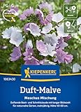 Kiepenkerl Duft-Malvensamen Moschus Mischung 1063430 - duftende Beet- und Schnittstaude mit langer Blütezeit - Wildblumensamen, Blumenwiese, Saatgut