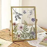 6 Zoll DIY Doppelglas Fotorahmen für gepresste Blumens, Handgefertigter Getrockneter Blumen Bilderrahmen Getrocknetes Blatt Minimalistische Tischdekoration für Zuhause Wohnzimmer Desktop Dekor Gold-6