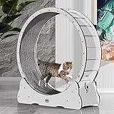CanadianCat Company | Katzenlaufrad aus Holz - CatInMotion - Spiel- & Traininggerät für Katzen | Bausatz Weiß - L Ø100cm | 110 x 36,5 x 115 cm