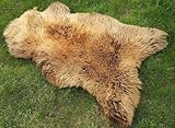 Provellus ECHTES SKANDINAVISCHES SCHAFFELL LAMMFELL Fell TOP GEGERBT Creme BRAUN 100cm