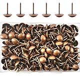 Ruidee 200 Stück Metall Rundkopfnägel Thumbtacks Polsternägel Kopfnägel Möbel Nägel Vintage für Sessel, Möbel, Bett, Dekornagel (Rot Bronze)