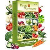 Gemüsesamen Set - 12 Sorten Samen Gemüse - Saatgut Gemüse Sortiment - Anzuchtset für Gemüsepflanzen - Geschenkset - Tomaten, Gurken, Radieschen, Zucchini, Paprika, Möhren und mehr von Deine Gartenwelt