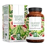 DAO Enzym Komplex mit Diaminoxidase aus Erbsen – 60 vegane DAO Kapseln – bei histaminreicher Ernährung – 60-Tage-Vorrat - NATURTREU® Toleranzschatz