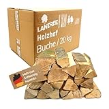 Landree Kaminholz Buche 20 kg für Kamin, Kaminofen, Lagerfeuer, Feuerschale und Ofen, 20-25 cm Scheitlänge, kammergetrocknet, Holz, Brennholz, Wood vom Familien-Holzhof aus Schleswig Holstein