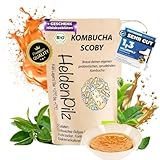HeldenPilz® Bio Kombucha Teepilz – Vitaler, Wachstumsstarker Scoby mit Ansatzflüssigkeit | Für bis zu 6L Kombucha | Erfolgsgarantie & Anleitung | 100% Natürlich, Nachhaltig & Plastikfrei