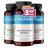 Montmorency-Sauerkirschkapseln – 300 Stück mit 380 mg natürlichem Sauerkirschextrakt und Kupfer von BIOHERBA PZN 18215936