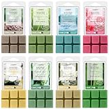 Salubrito Frühling Duftwachs für Duftlampe, Duftwachswürfel Wax Melts, Scentsy Duftwachs für Raumdüfte - Nach Regen, Meeresbrise, Bambus und Mehr, Frühlingssaison Duftwachs