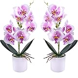 XONOR Künstliche Orchideenblumen, 2 Stück eingetopfte...