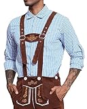 LVCBL Herren Karriert Trachtenhemden Regular Fit Langarm Männer Freizeithemden Karohemden Plaid Oberteil Oktoberfest Hellblau M