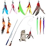 Hianjoo Katzenspielzeug Katze Toys 12 Stück, Interaktives...