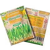 ZenGreens® -  Bio Weizen Samen (75g) in Premium Qualität  - Weizengras Samen mit Keimrate von über 96% - Getreide Saatgut - Weizensamen ideal für Microgreens - Keimsprossen Samen