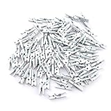 100 kleine süße Mini Zierklammern Dekoklammern Klammern Holz Wäscheklammern Miniklammern Holzklammern Natur Weiss 2,5cm (SD-DK-100-White)