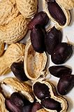 Seedeo Schwarze Erdnuß (Arachis hypogaea) 10 Samen