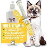 Multi Vitamin B Komplex + Vitaminpaste für Katzen 100ml 15ml Katzen Vitamine hochdosiert I B Vitamine mit Vitamin A D C I Energie Aufbaukur alte Katzen Kitten Vitamin-Booster Immunsystem stärken Katze