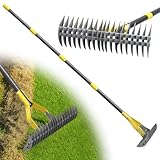 Rasenrechen, 178cm Robuster Rechen zur Beseitigung von Moos und Rasenfilz mit scharfer Klinge für die Entfernung von Totem Gras, für Hof, Garten, Rasen/Graue