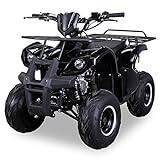 Original Actionbikes Motors Kinder Quad S-8 Farmer | 4-Takt 125 cc 7 kW Benzinmotor - Not-Aus-Leine- Miniquad - Bis zu 50 km/h - Daumengas drosselbar - Automatikgetriebe (Blau)